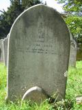 image of grave number 559575